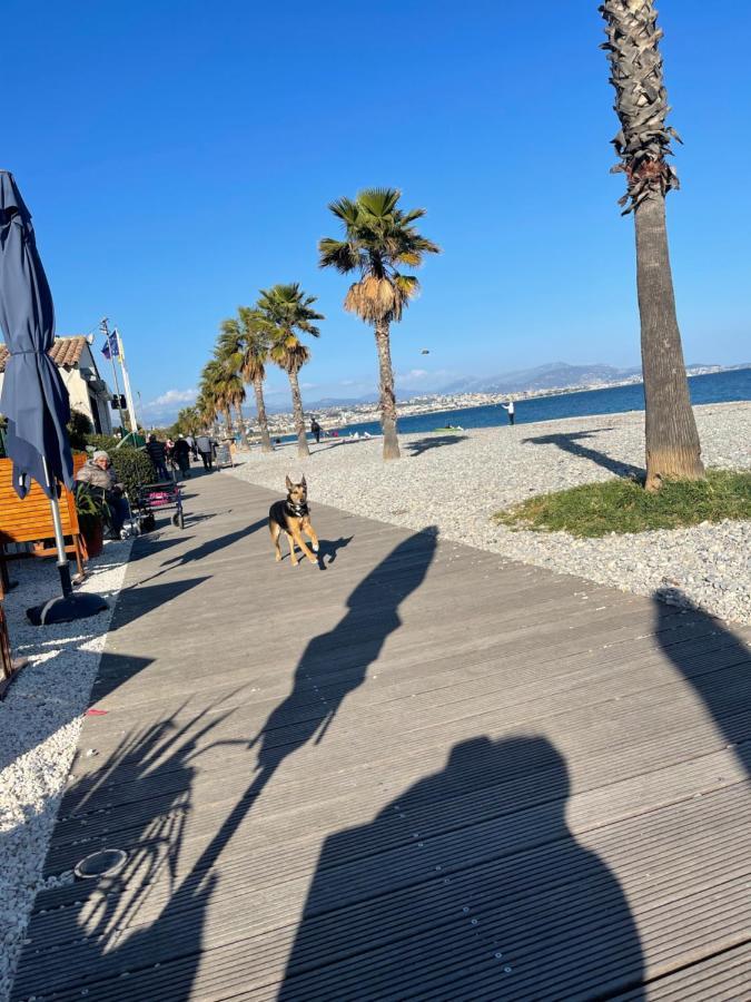 Villeneuve Loubet Plage- Entre Nice Et Cannes Экстерьер фото