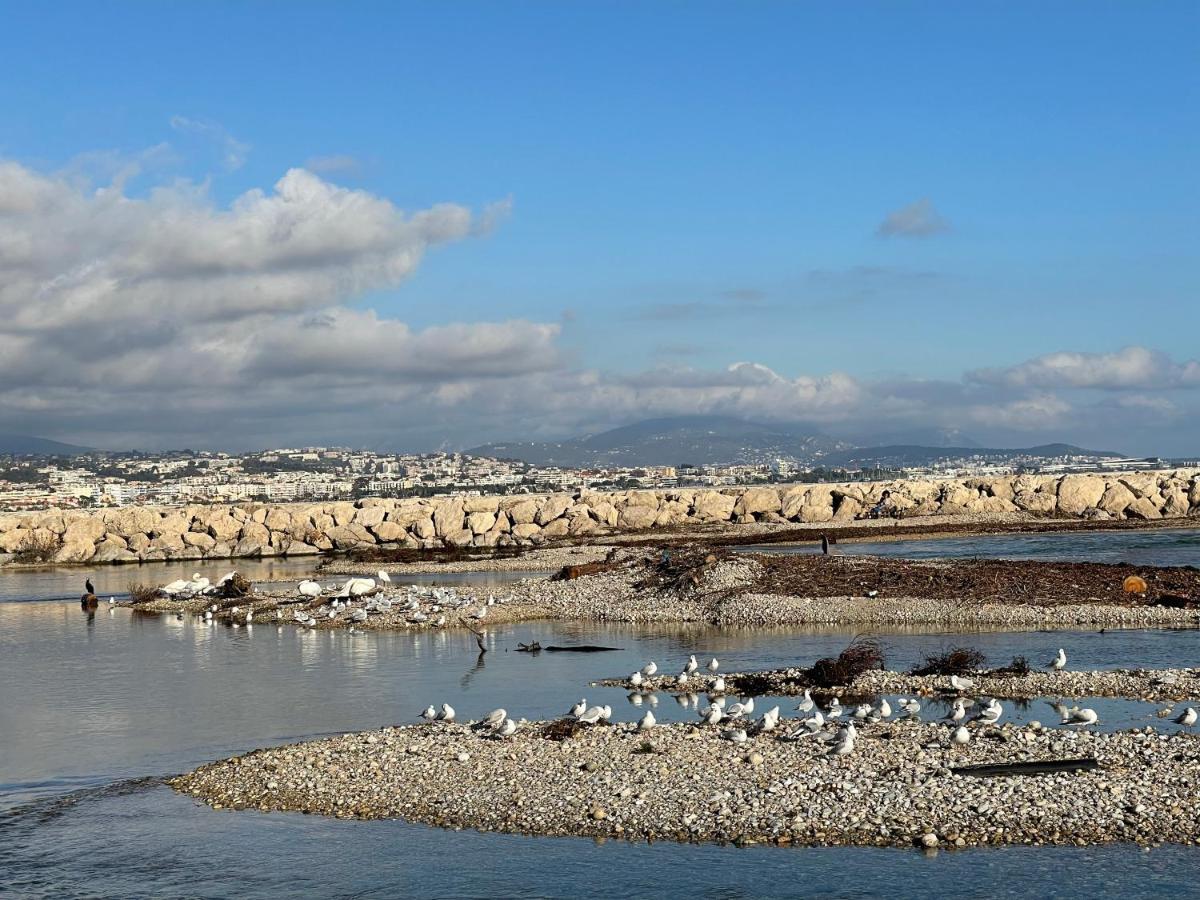 Villeneuve Loubet Plage- Entre Nice Et Cannes Экстерьер фото