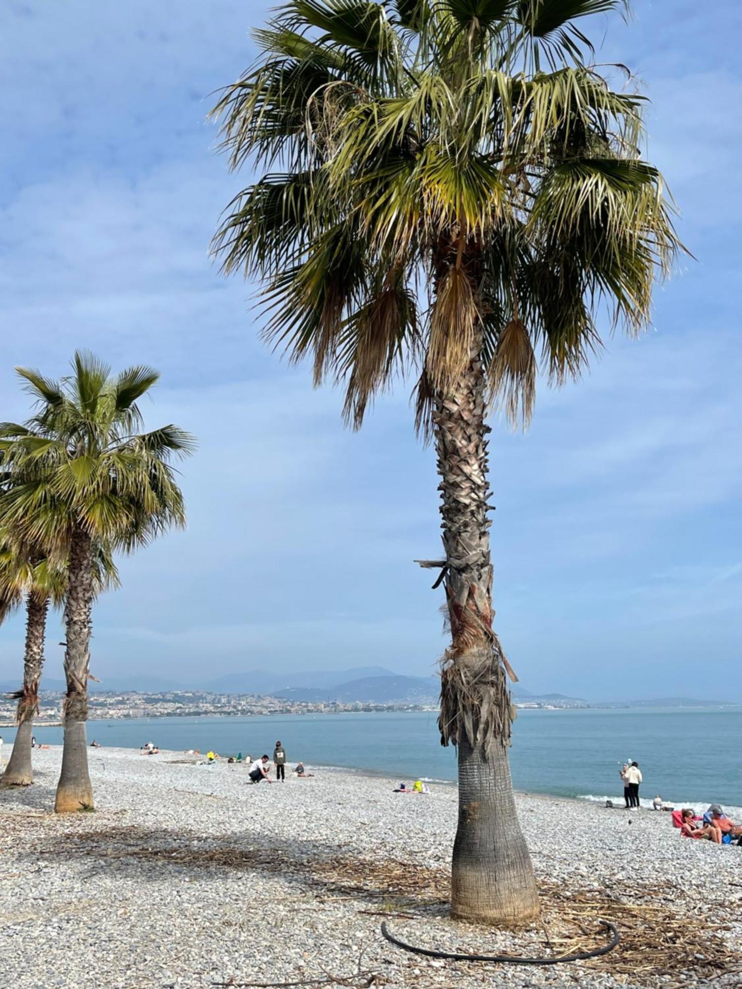 Villeneuve Loubet Plage- Entre Nice Et Cannes Экстерьер фото