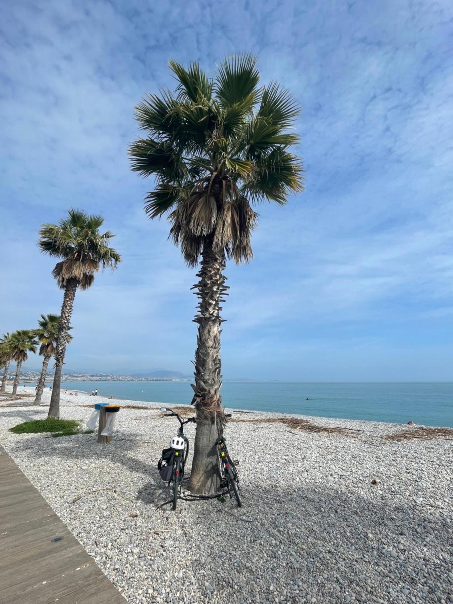 Villeneuve Loubet Plage- Entre Nice Et Cannes Экстерьер фото