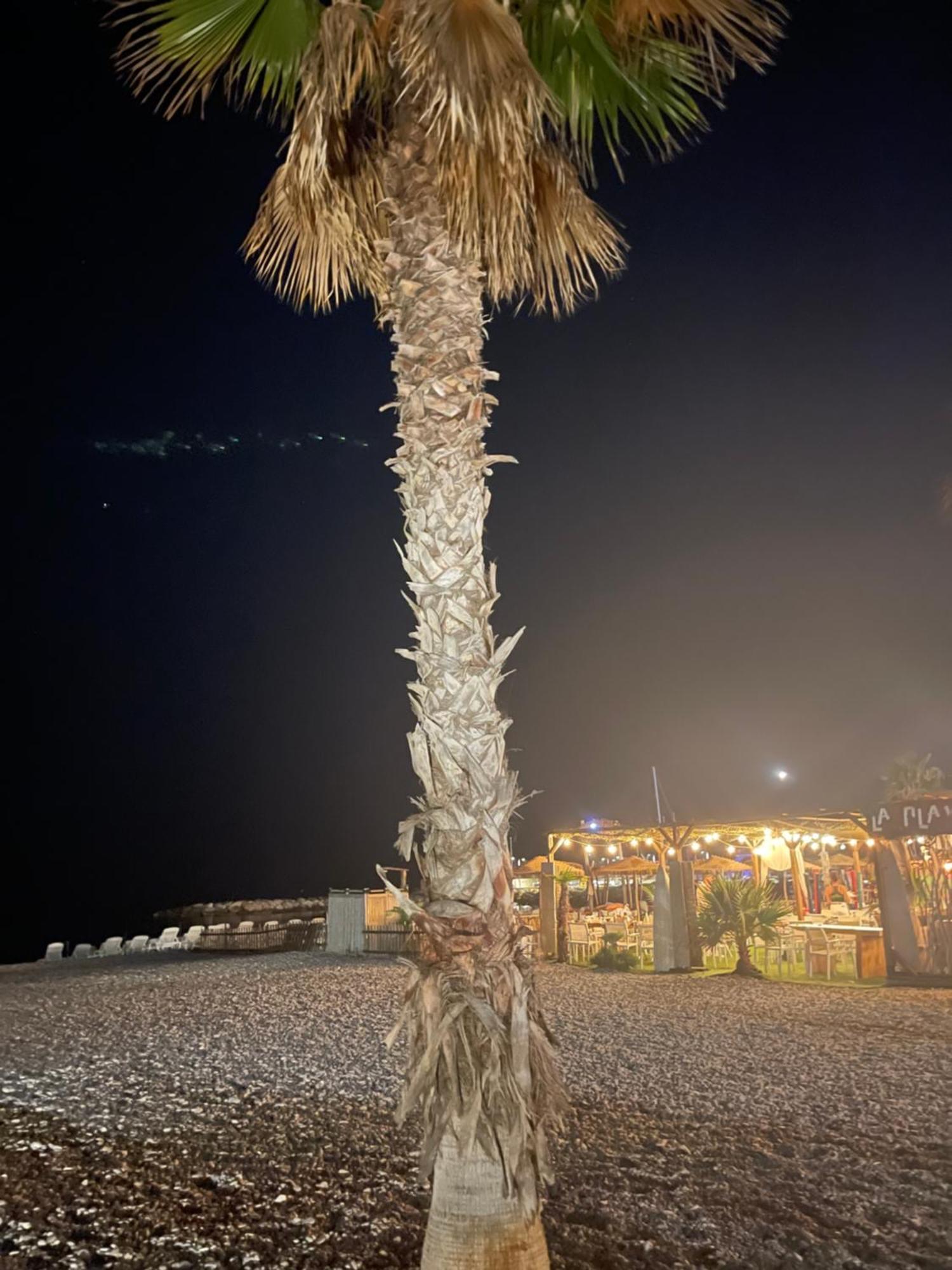 Villeneuve Loubet Plage- Entre Nice Et Cannes Экстерьер фото