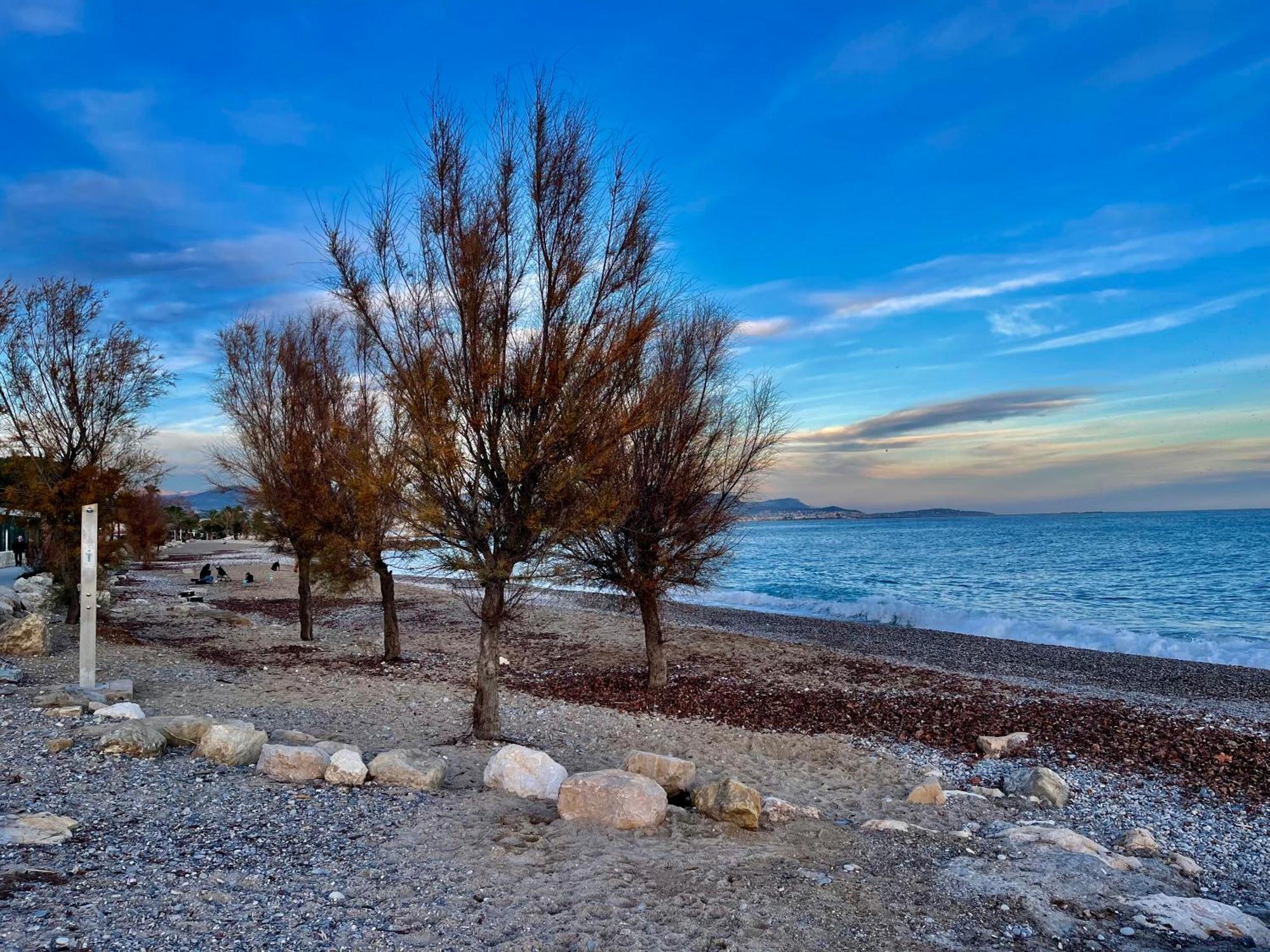 Villeneuve Loubet Plage- Entre Nice Et Cannes Экстерьер фото